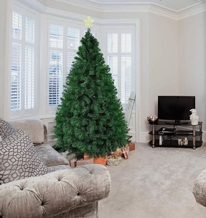 Green Christmas Trees - Bosonshop