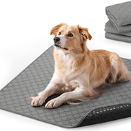 Dog Mats - Bosonshop