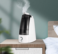 Humidifiers - Bosonshop