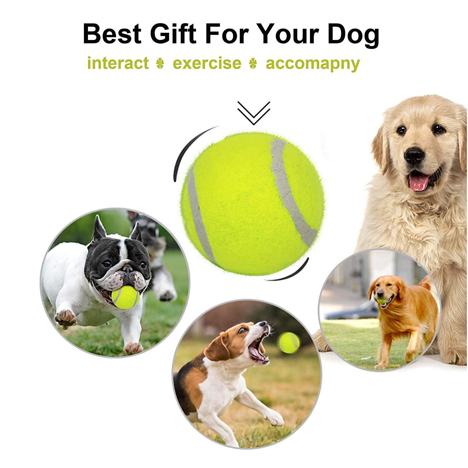 Bosonshop Mini Automatic Ball Launcher Tennis Ball