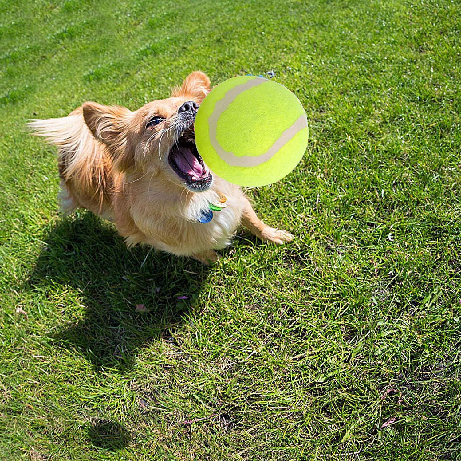 Bosonshop Mini Automatic Ball Launcher Tennis Ball