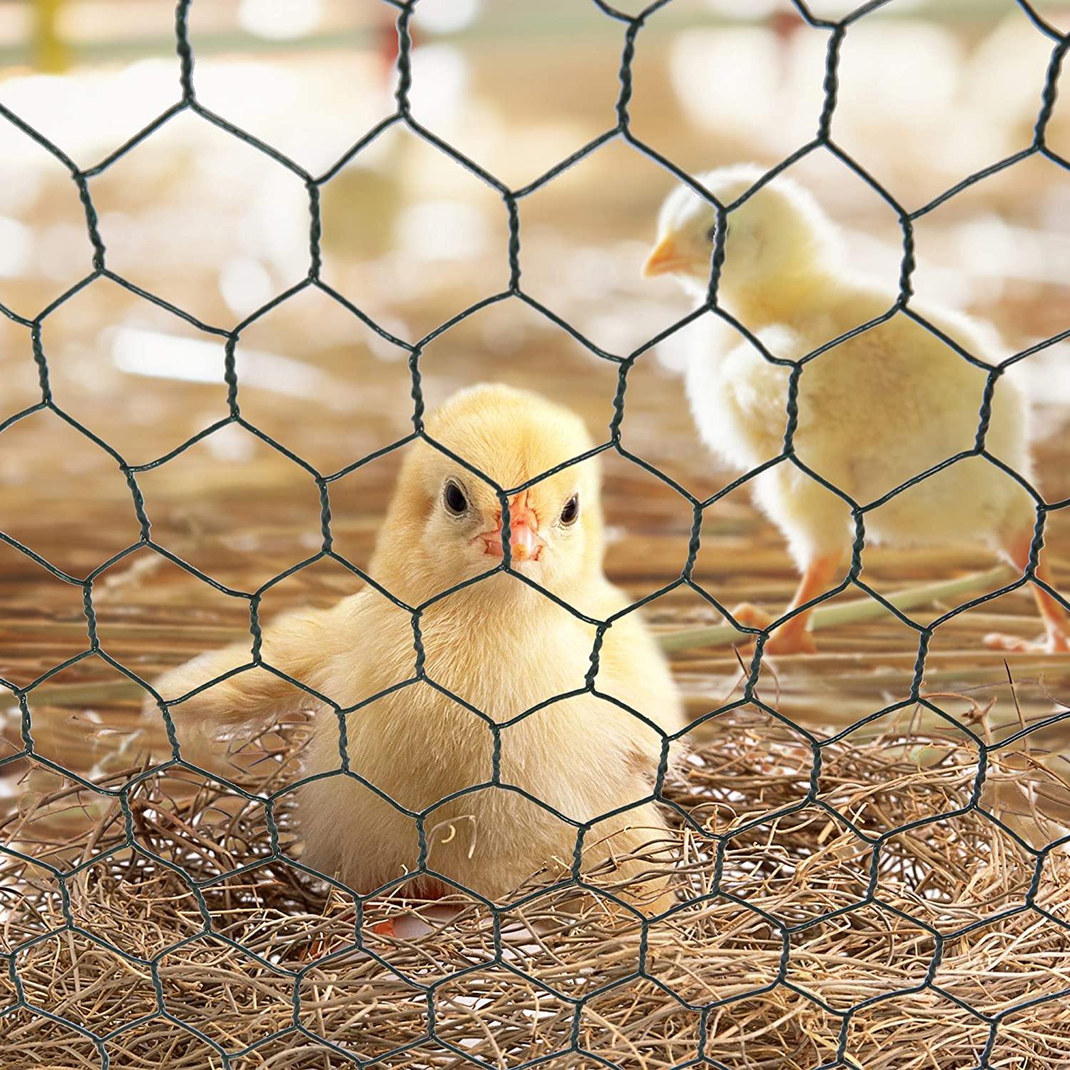 Outdoor Metal Chicken Coop Large Walk-in Poultry Cage Backyard Hen House with Chicken Run Cover for Farm Home Use 10x6.5x6.5ft - Bosonshop