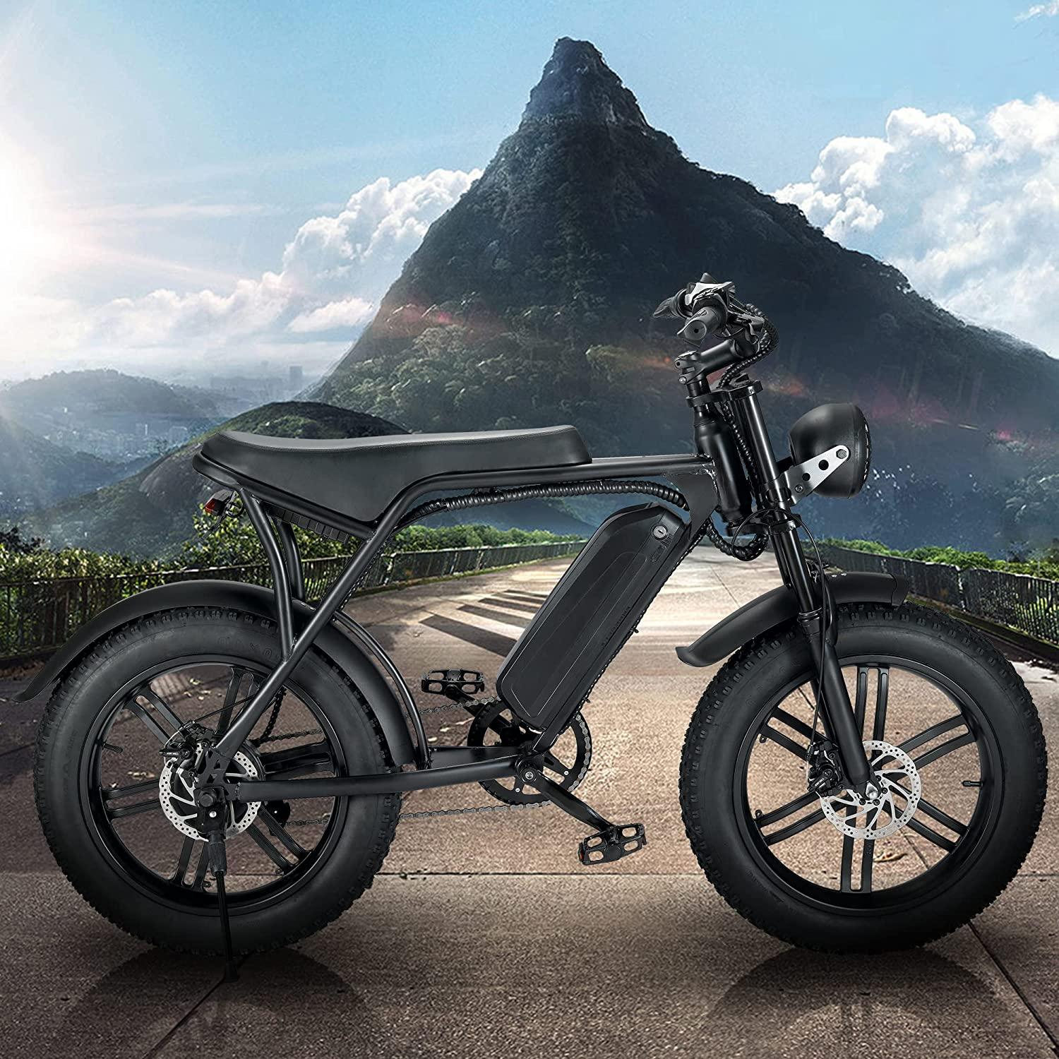 (Out of Stock) Electric Bike 750W for Adults, Motor Bike with Removable Lithium Battery - Bosonshop